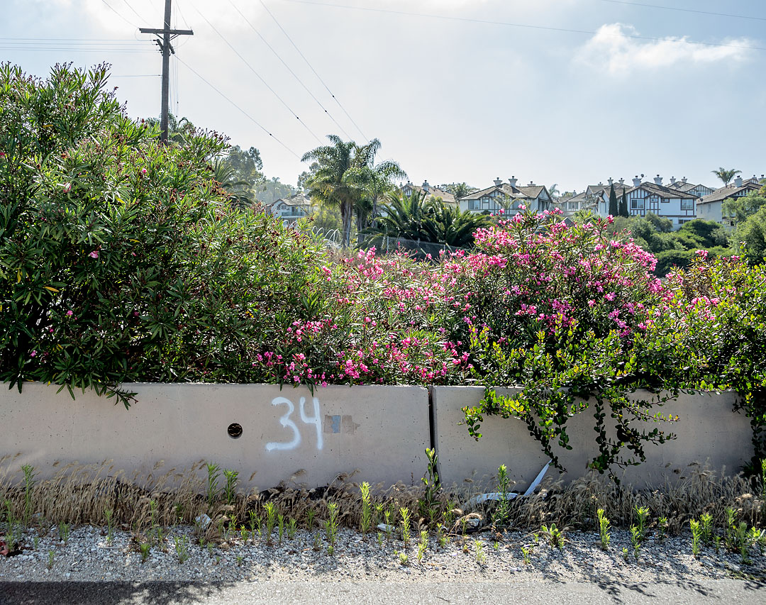 06-15-17_San_Diego_KI6A6343_19x15_RawF_marker_34