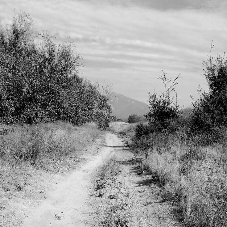 12-16-17_Tijeras_Creek_Trail_104923-01_RSM