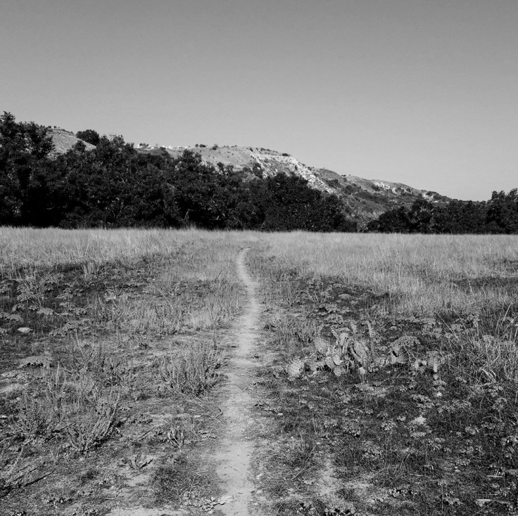 12-19-17_morning_walk_103806_RSM