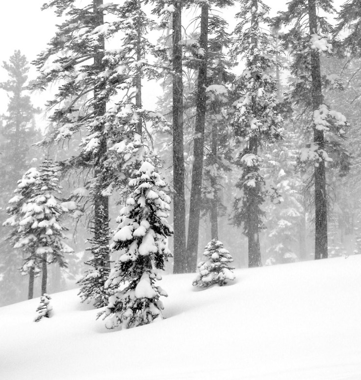 12-27-04_Mammoth_mountain_0219