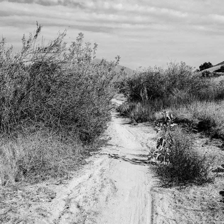 12-16-17_Tijeras_Creek_trail_105353-01_RSM