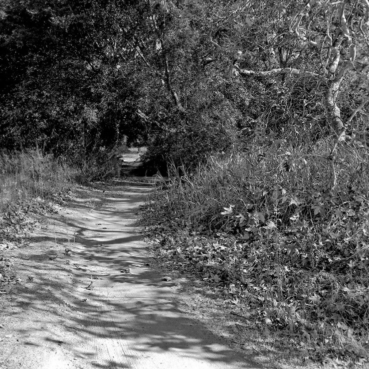 12-16-17_Tijeras_Creek_trail_105848-01_RSM