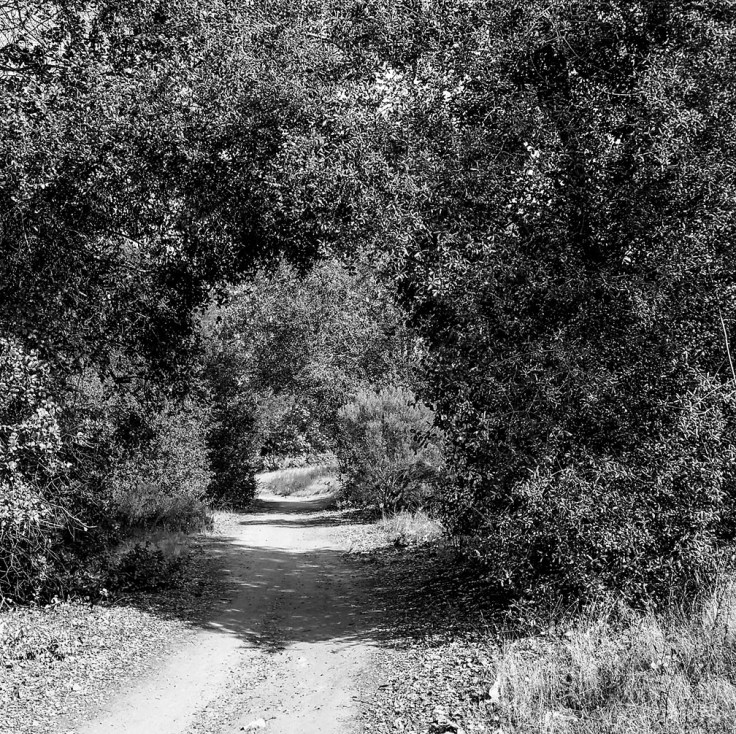 12-16-17_Tijeras_Creek_trail_110633-01_RSM