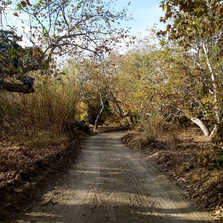 12-20-17_Arroyo_Trabuco_trail_092919-01_RSM
