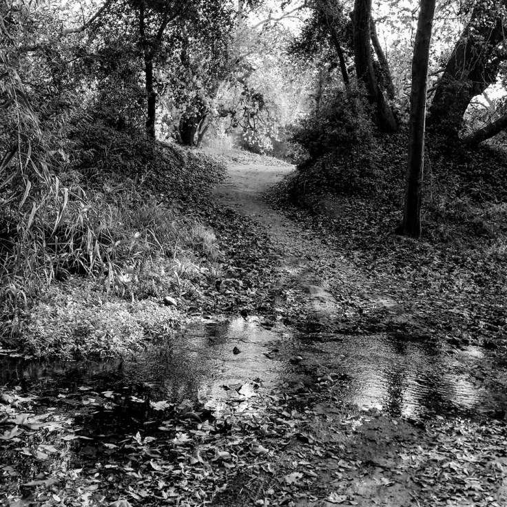 12-20-17_Arroyo_Trabuco_Trail_093909-01_RSM