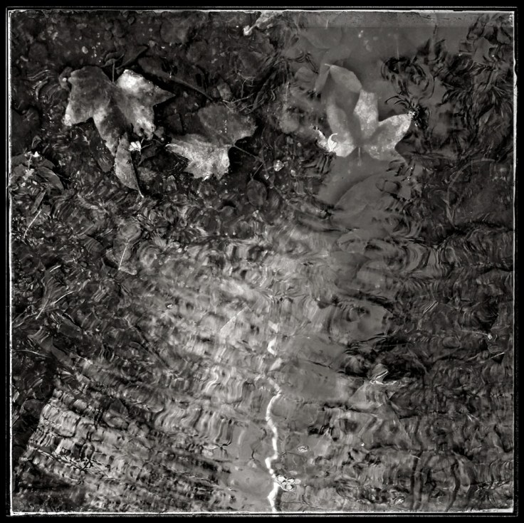 12-20-17_Untitled_100650-04_Arroyo_Trabuco_trail_RSM