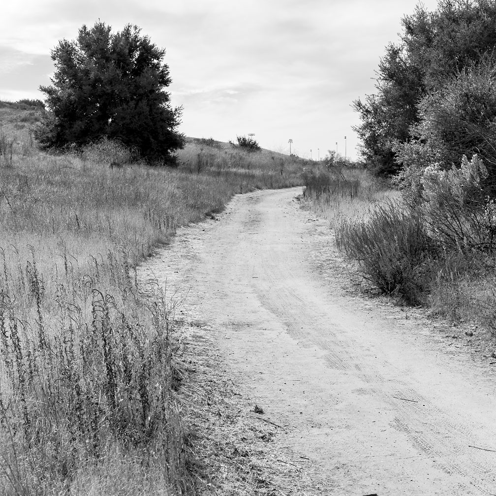 12-26-17_Tijeras_Creek_KI6A7491_RSM