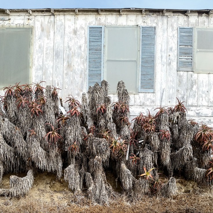 12-28-17_Crystal_Cove_121427