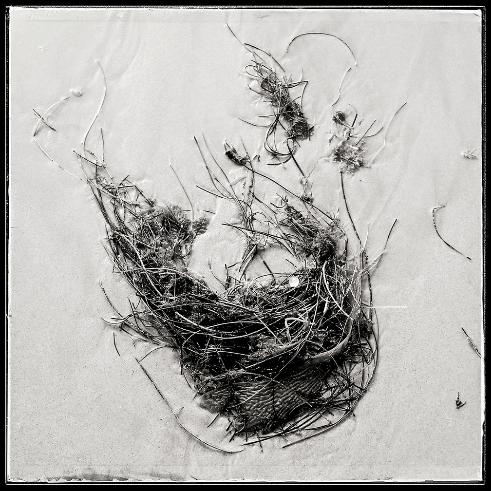 12-28-17_Study_122026-03_Crystal_Cove_State_Park_beach