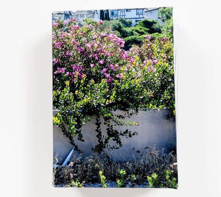 Douglas_Stockdale_Middle_Ground_Dummy_3_cover