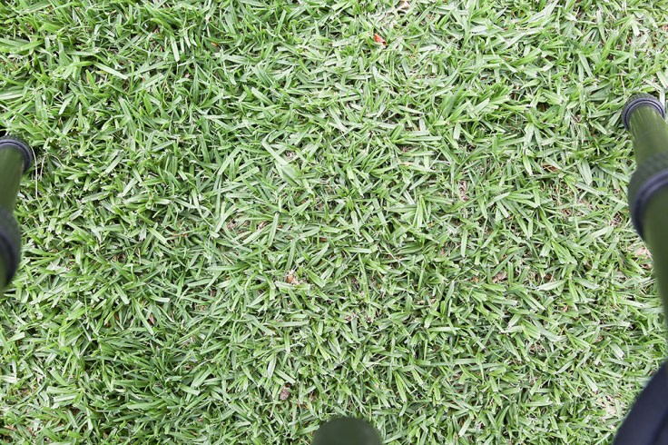 04-07-18_5DMk3_camera_test_KI6A8260_24-105_at_35mm_n_f-9.0_tripod_full_frame