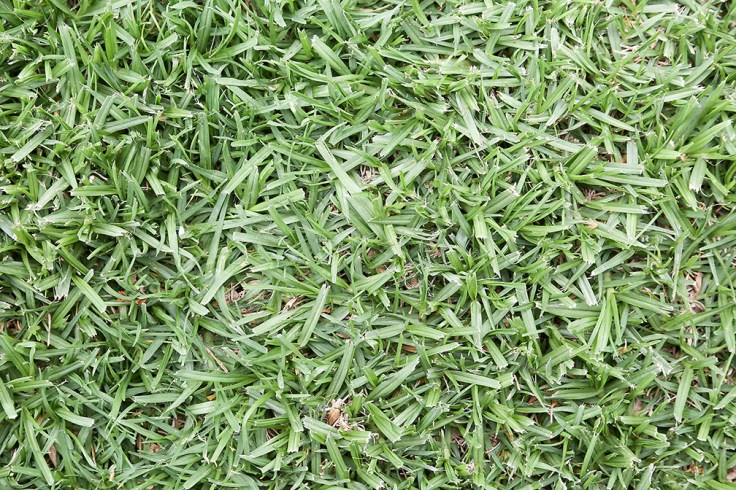 04-07-18_5DMk3_camera_test_KI6A8260_24-105_at_70mm_n_f-9.0_tripod_full_frame