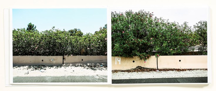 Douglas_Stockdale_Middle_Ground-En_Medio_Tierra_5