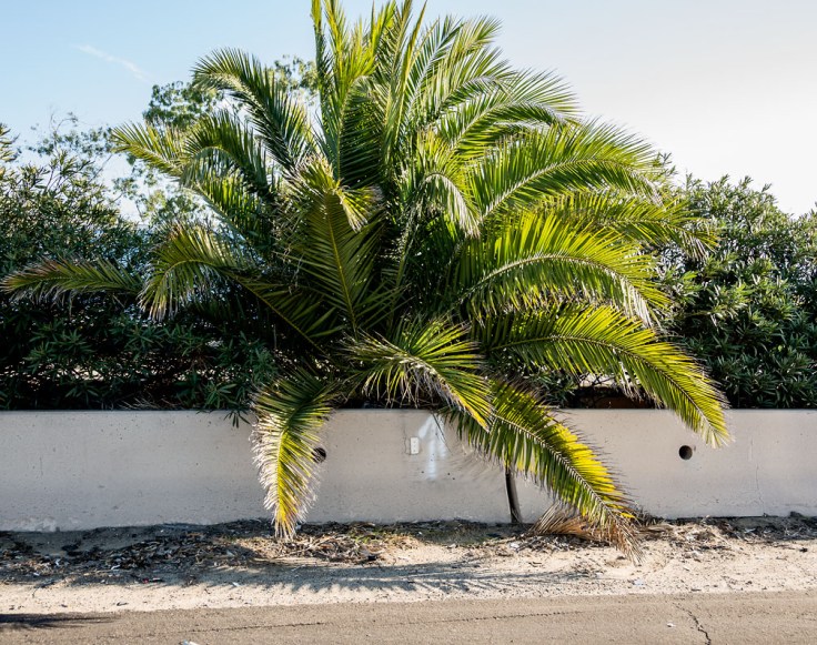 San Diego Point of Entry