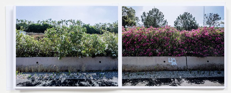 Douglas_Stockdale_Middle_Ground_page14-15