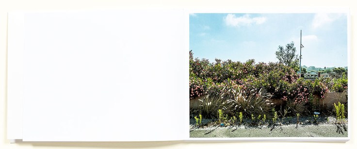 Douglas_Stockdale_Middle_Ground_page3