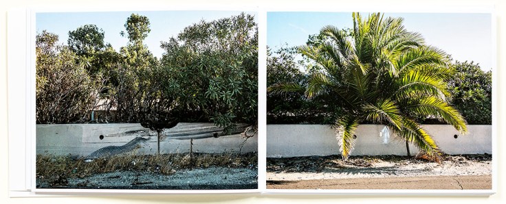 Douglas_Stockdale_Middle_Ground_page6-7