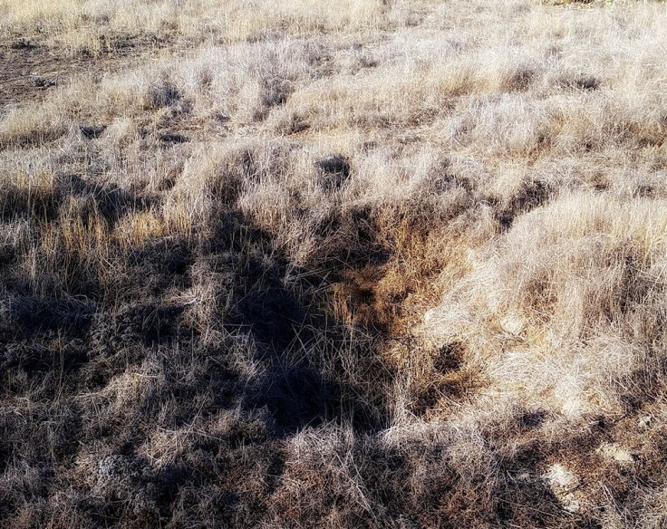 09-08-17_083013-01-02_8x10