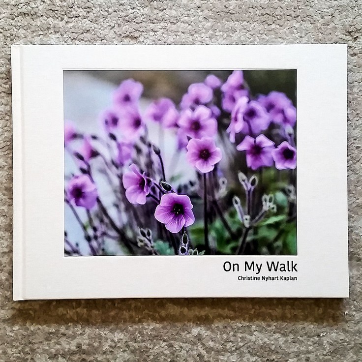 Christine_Nyhart_Kaplan_On-My-Walk_cover