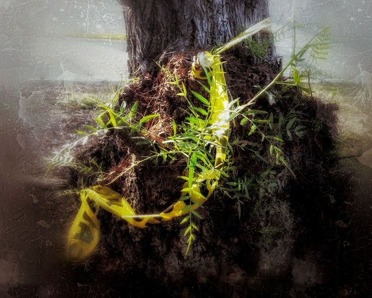 10-10-18_Suspecious_Circumstance_boundary_084512-03