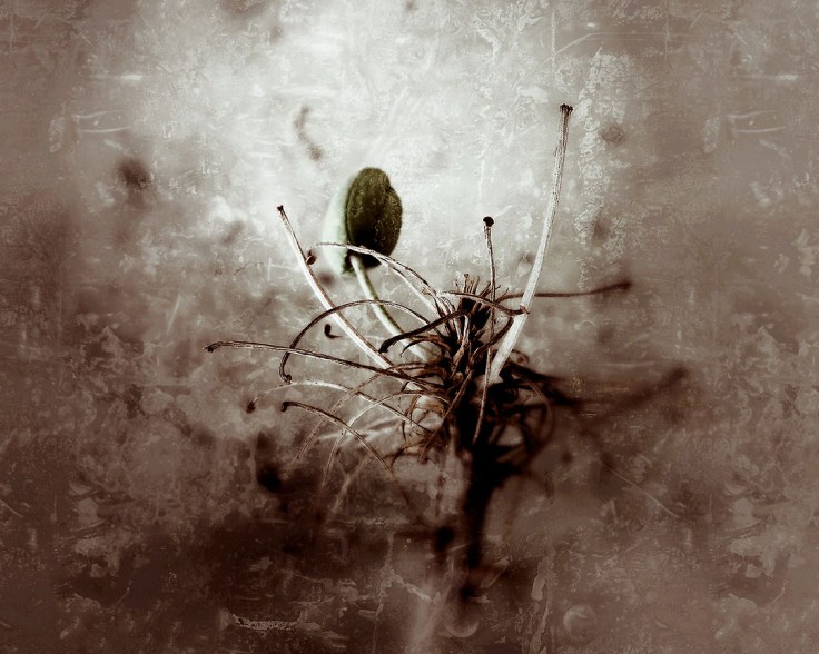 06-10-14_Loss 091501_Stockdale_post