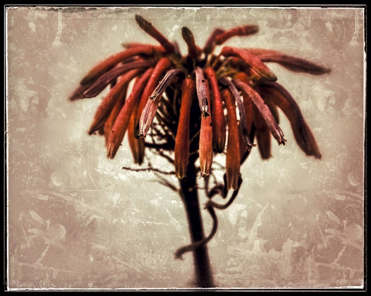 04-14-15 3607_8x10-01-02