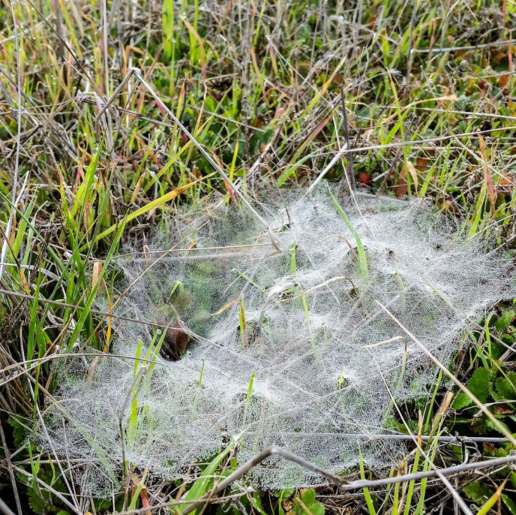 stockdale-douglas_03-13-18_trabuco_creek_101629-01