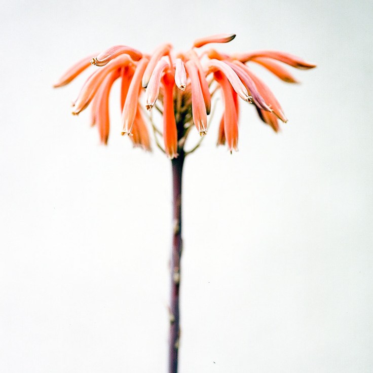 05-02-18 Neg2 24260002