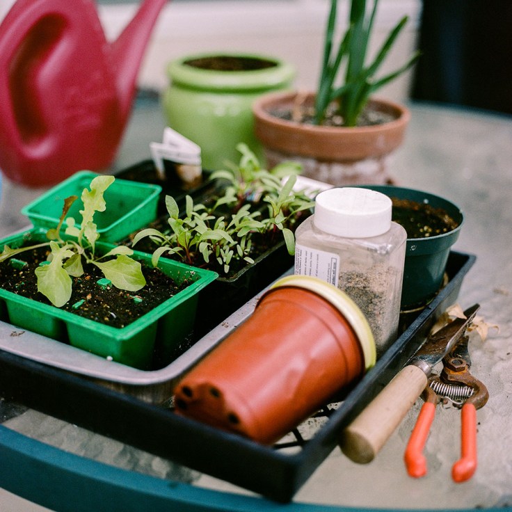 Stockdale_Gardening_RSM_47600010