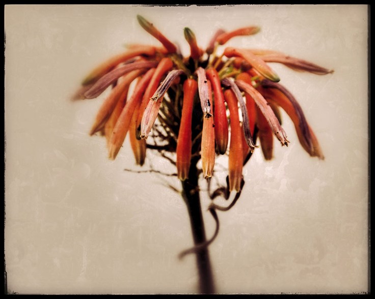 04-14-15 3607-02_Changes