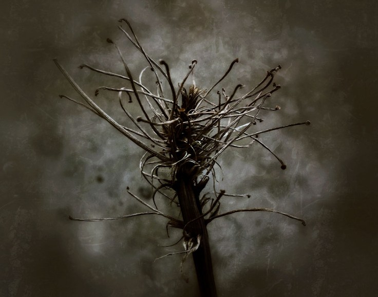 06-06-14_191358_Angst