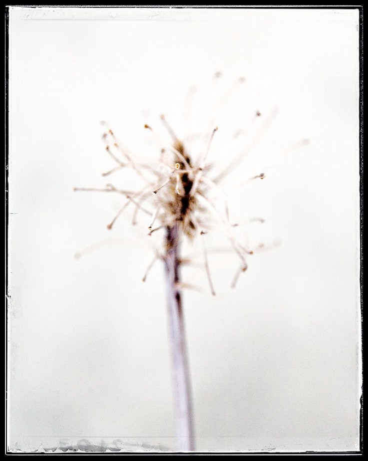 06-10-14 Ghost II 1142-02-01v02