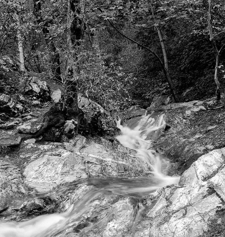04-2006 - Cascasde Placerita Canyon - Spring Neg 11_1000px