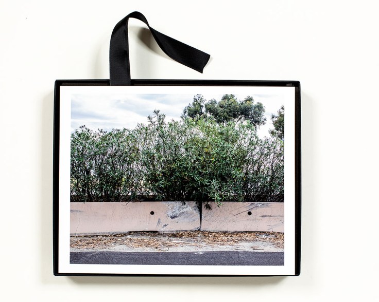 Middle_Ground_Fabrik-Press_Disjointed_1000px