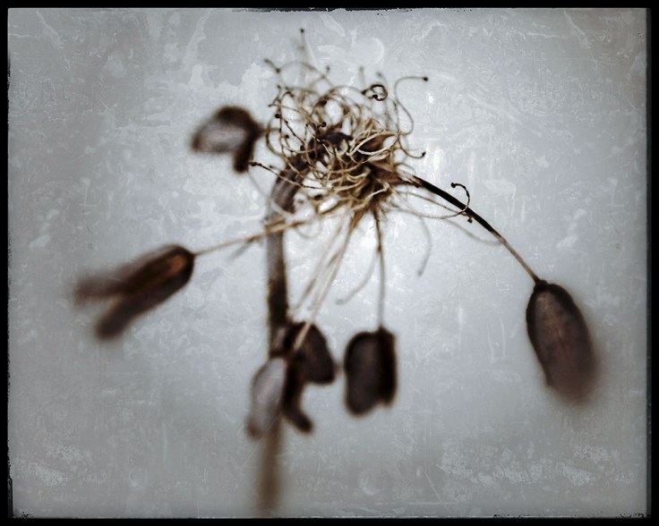 10-25-15 KI6A0645-02 Disassociation