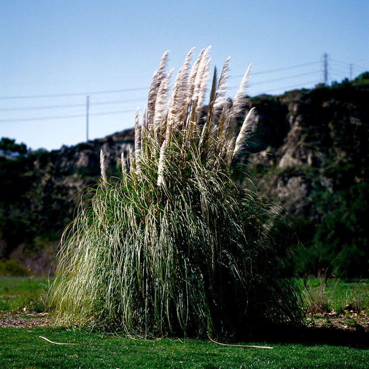 01X 03-15-13 A film 50001 Plume