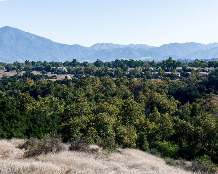 10-03-19 RSM KI6A2626