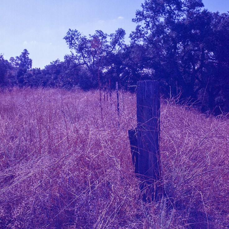 10-14-19 ONeil Park Fence Line 0761503