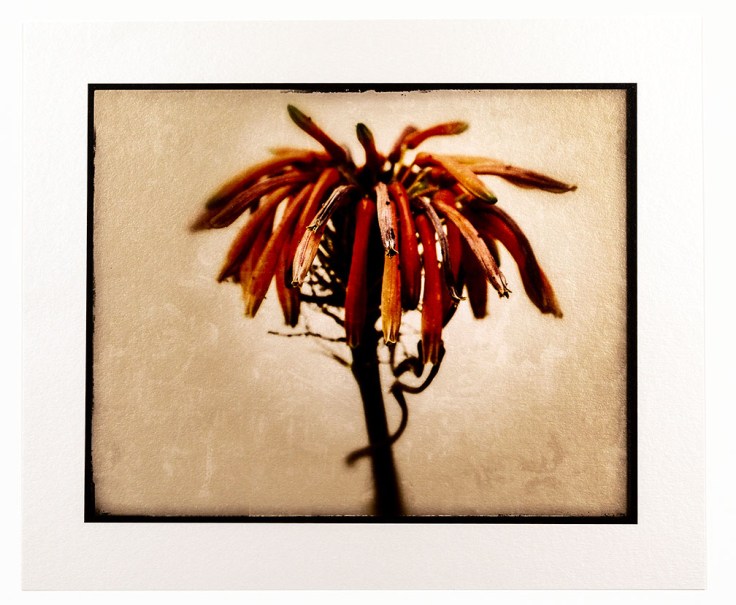 Changes - H Rag Metallic print KI6A2910