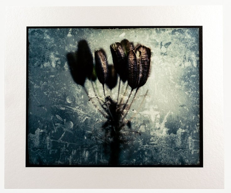 Fatigue - H Rag Metallic print