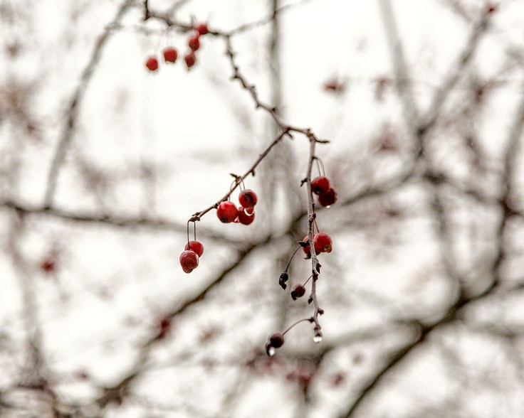 11-09-17 McGaheysville VA KI6A6547