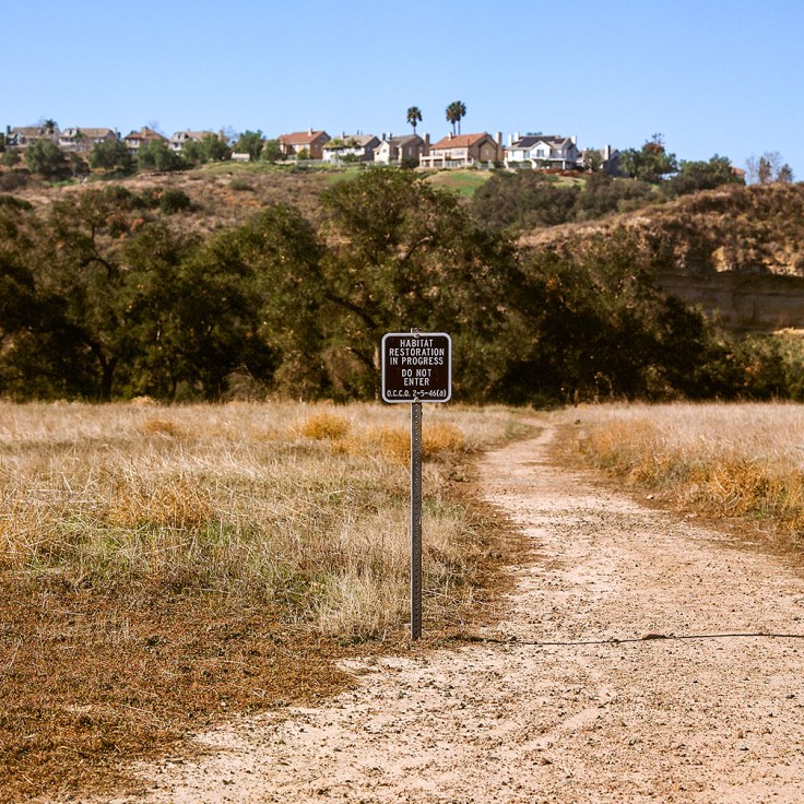 02-06-18 roll 3 74670003