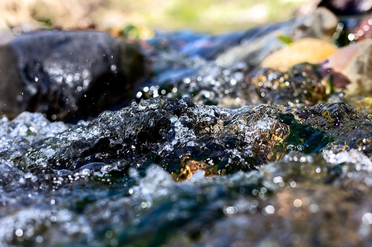 03-07-20 Oso Creek_0224_full-frame