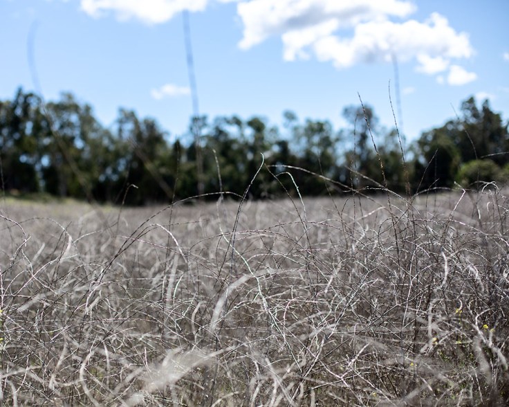 03-08-20 turbulent times KI6A4114