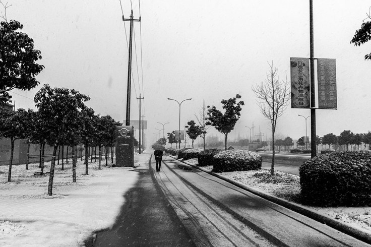 01-25-08 JiaShan_2511