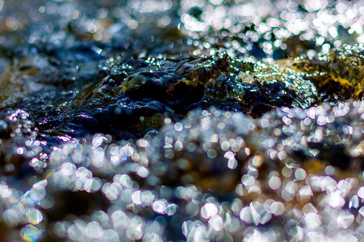 03-21-20 KI6A5613v1 Covid