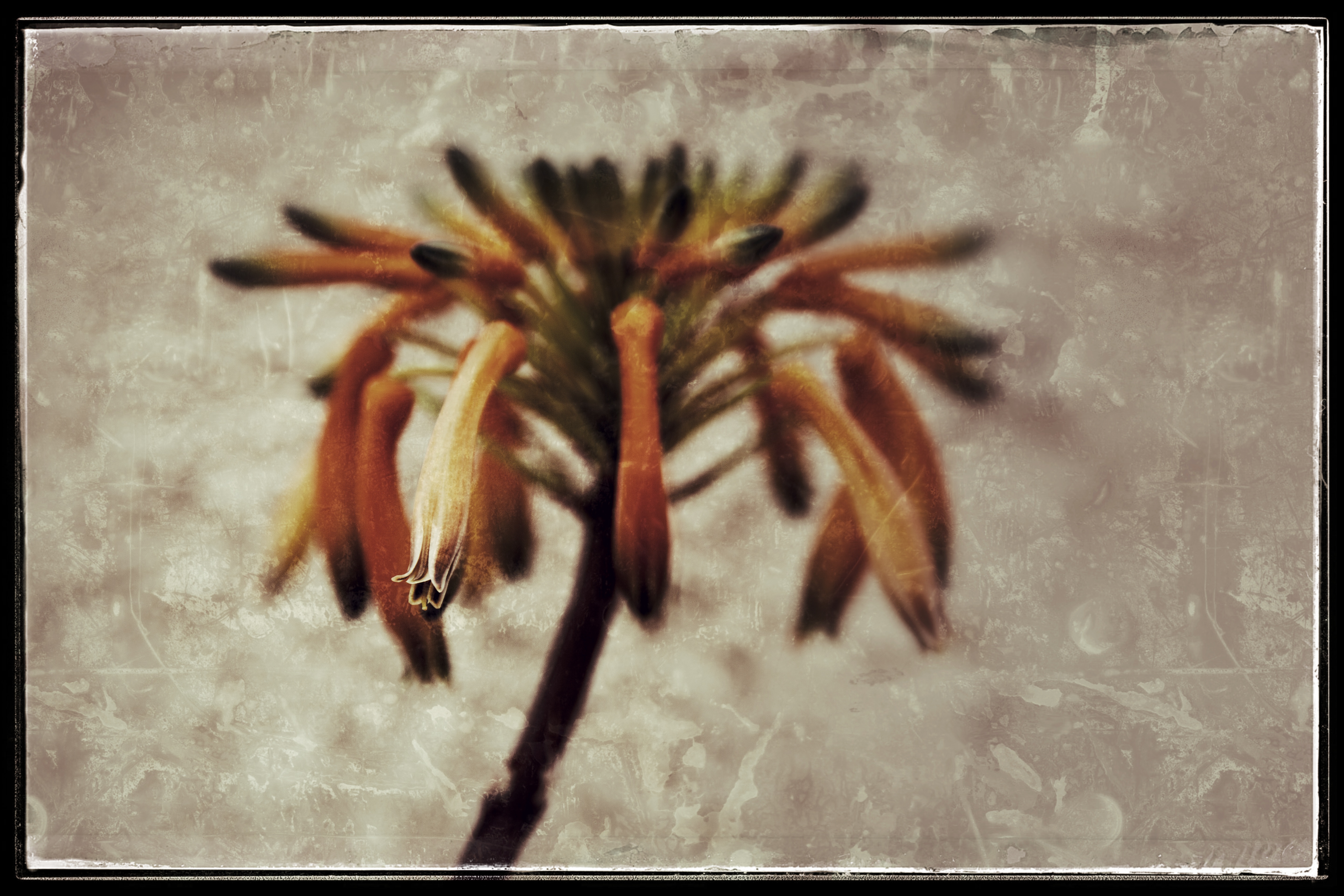 Memory Pod Diary; July 16th, 2020 – Memory Pods – Singular Images