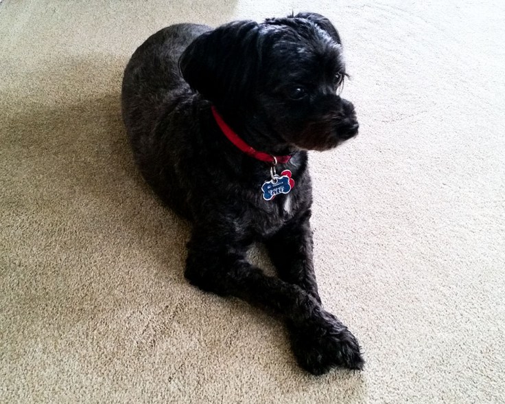 07-22-20 Shadow_085622