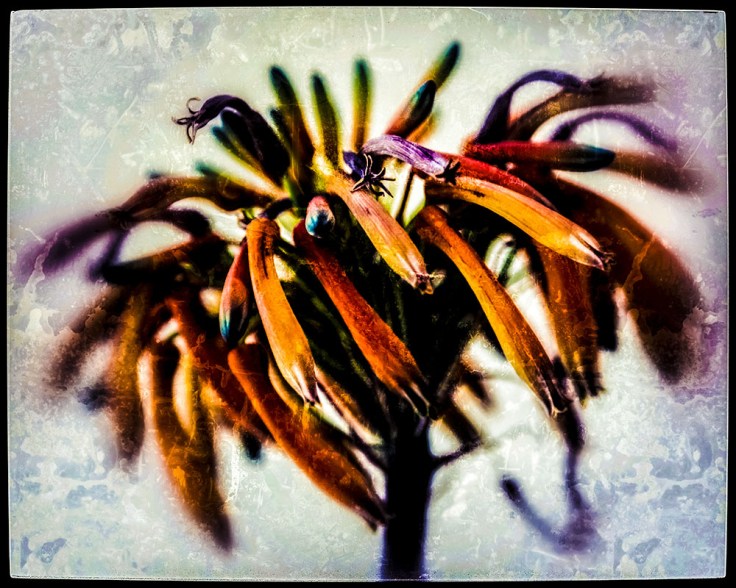 04-24-20 KI6A6909v1 off-kilter-04v1