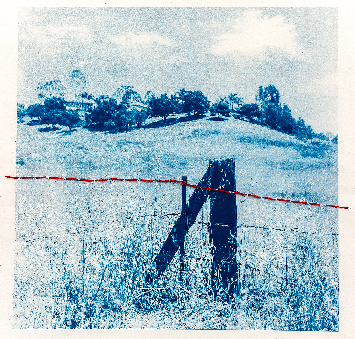 Barbed Wire – The Devils Rope – Singular Images